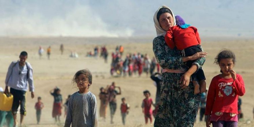 "1259 keç û jinên Kurdên Êzidî wek revandî hatine tomarkirin"