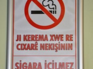 Bikaranîna kurdî zêde dibe