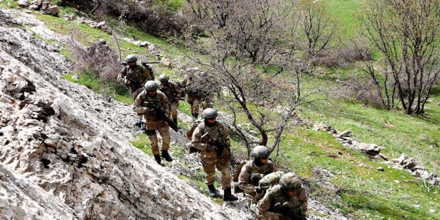 Heftanîn de 2 eskerê Tirkîya amê kiştene