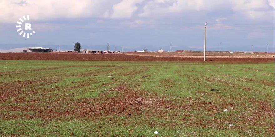 Cotkarên Serê Kanîyê ji milkên xwe bêpar man