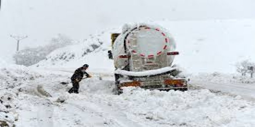 Dêrsîm de rayîrê 184 dewan vore ver qefîlyayî