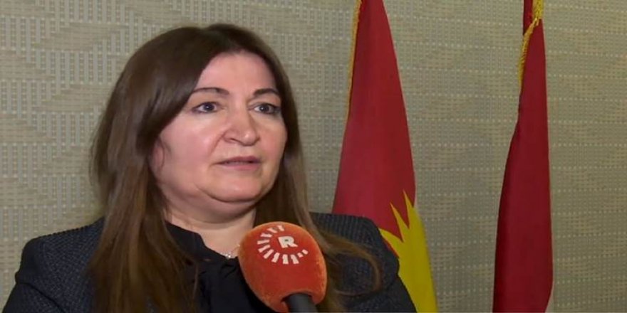 Vîyan Sebrî: Kurd dixwazin hikûmeta nû berdewamîyê bide rêkvtinên serdema Ebdulmehdî