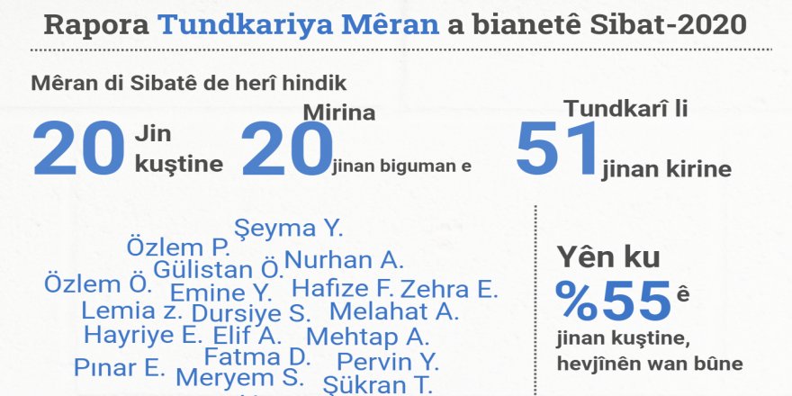 Li Tirkîyê meha Sibatê 22 jin hatine kuştin