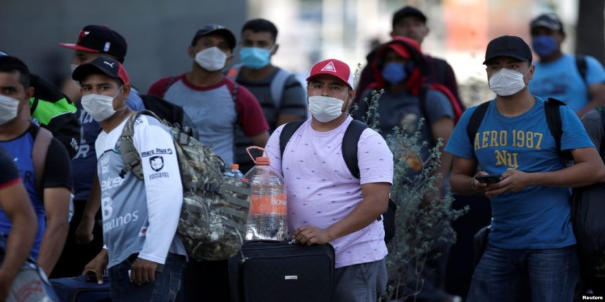 Vîrusê Korona Heta Nika 20,000 Kesî kiştî