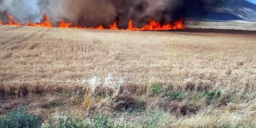 Li Rojavayê şewitandina dexlûdanên cotkaran berdewam e