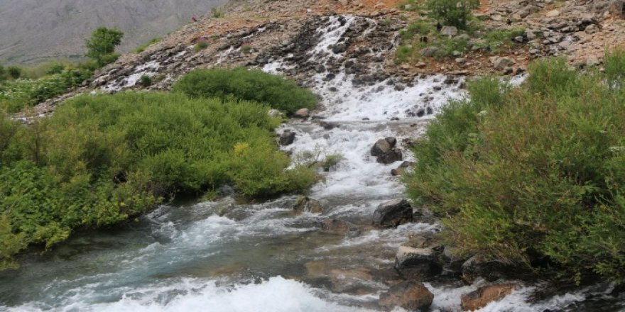 Dêrsîmîyan ji ber Kanîyên Mûnzûrê bertek nîşan dan