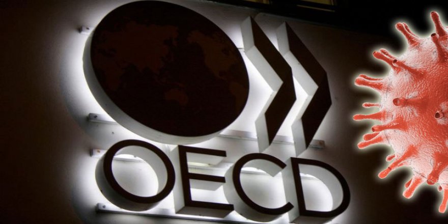 OECD: Aborîya Cîhanî Dê Herî Kem 6 ji Sedê Biçûk Bibe
