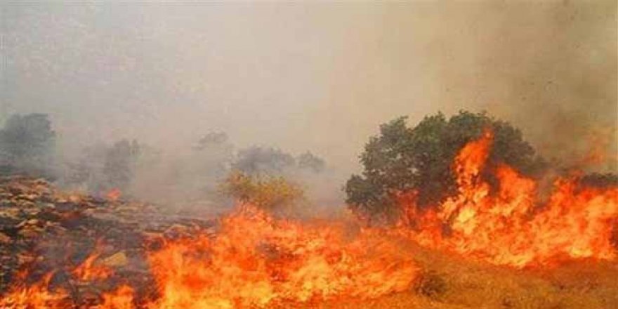 6 roj in daristanên Rojhilatê Kurdistanê dişewitin