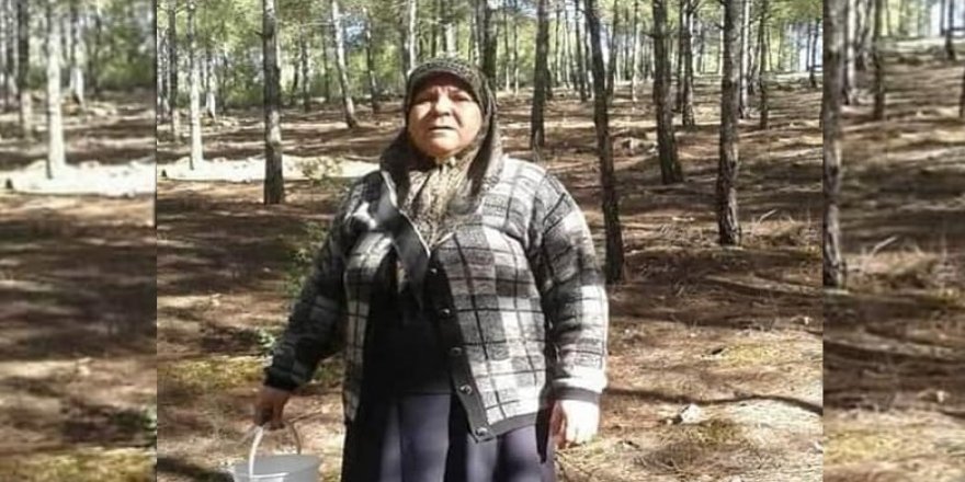 Li Efrînê pîrejineke Kurd bi guleya çekdaran hat kuştin