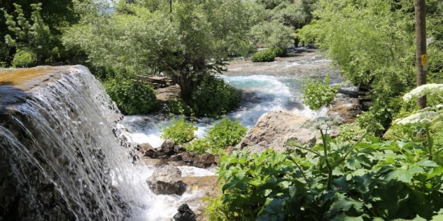 Şarê Dêrsimî: Ma projeya talankerdişî qebûl nêkenê