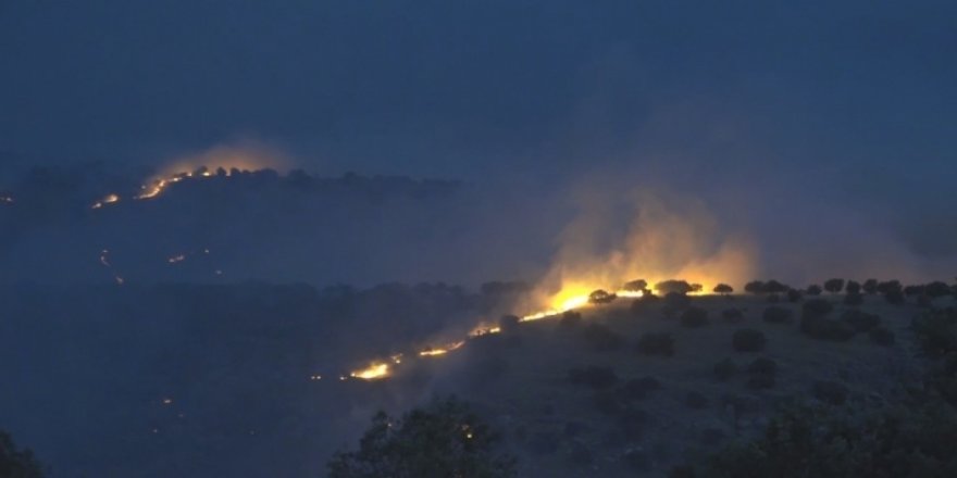 “Hêrişê teyarayanê Tirkîye de Şingal de 2 sivîlî ameyî kiştene”