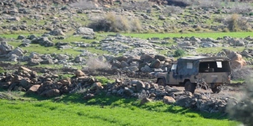 Li Efrîna dagirkirî komên çekdar ên girêdayî Tirkiyê 170 darên zeytûna birîn