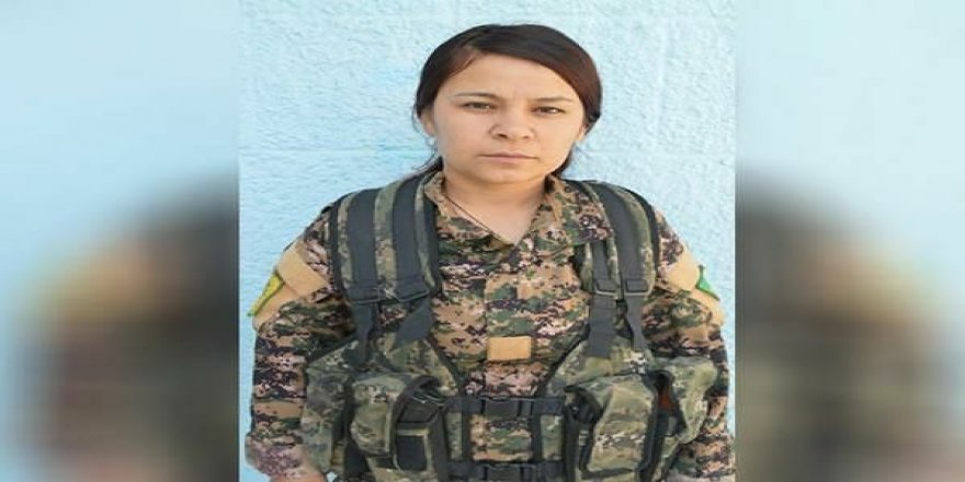 Çîçek Kobanî îro li Ruhayê tê dadgehîkirin