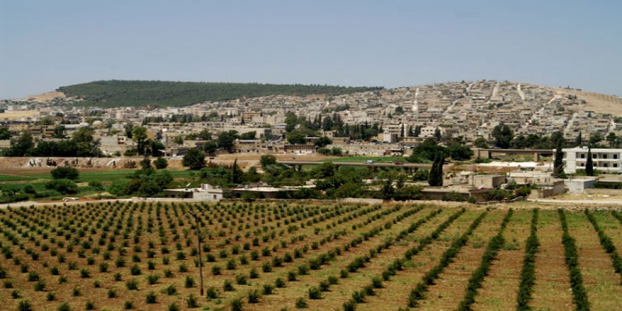 Li Efrînê 4 sivîl hatin revandin û 100 darên zeytûnê hatin birîn