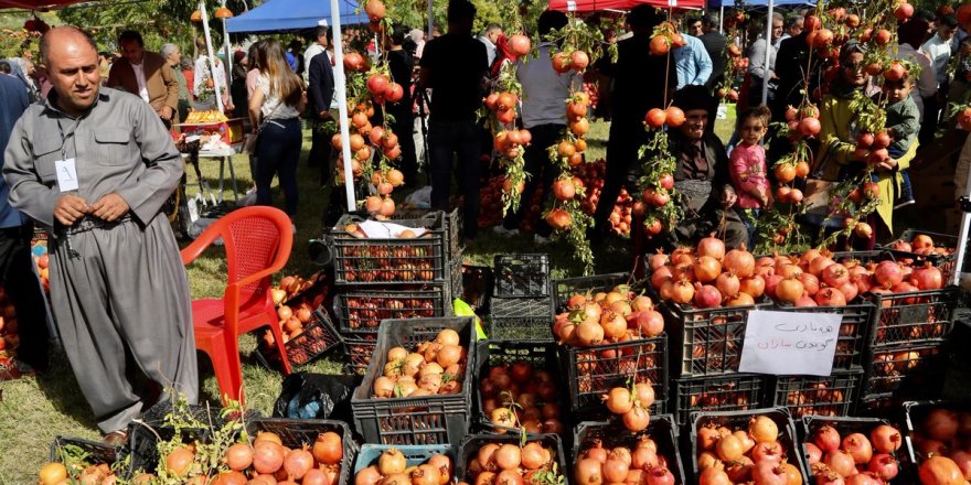 Li Helebce Festîvala Hinaran destpê kir