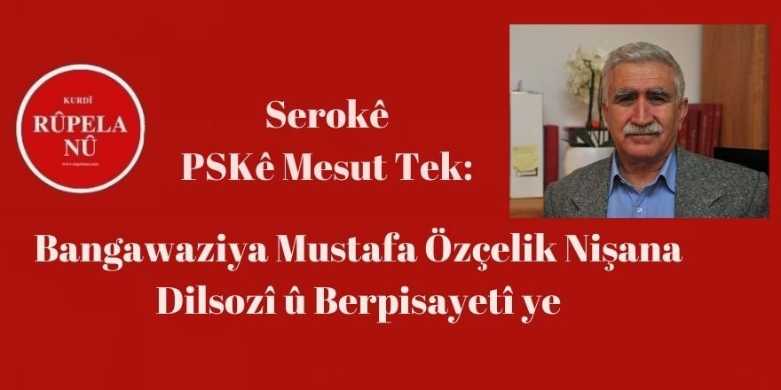 Serokê PSKyê Mesut Tek: Bangawaziya Mustafa Özçelik Nişana Dilsozî û Berpisayetî ye