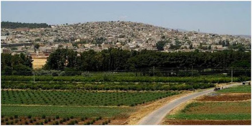 Efrîn.. Çekdarên ser bi Tirkiyê 2 bira revandin