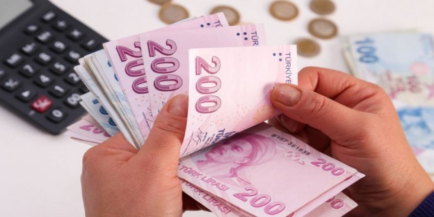 Mûçeya kêmane eşkere bû: 2 hezar û 825 lîre