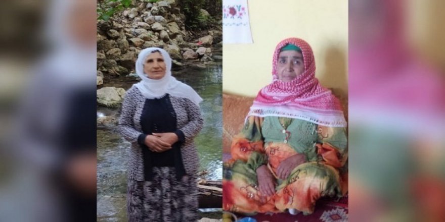 'Dayika min a 67 salî çi li dewletê kiriye?