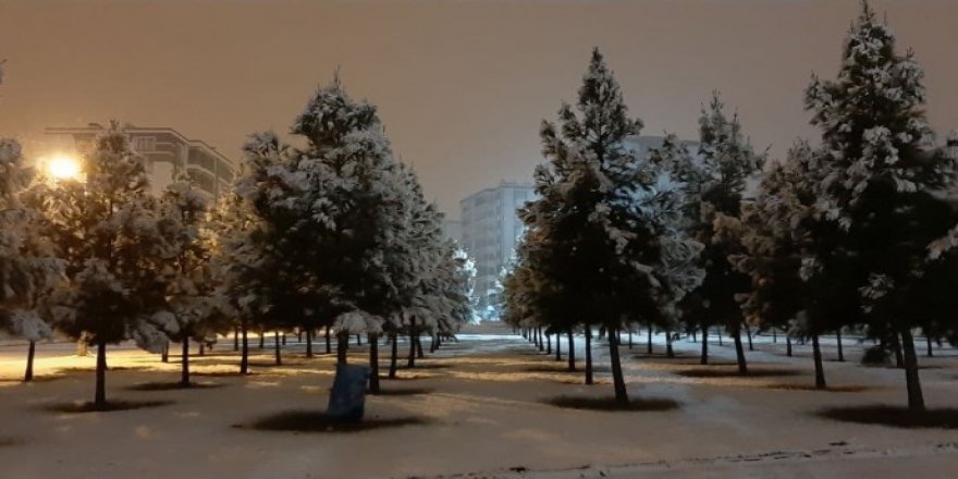 Berfê Amed spî kir