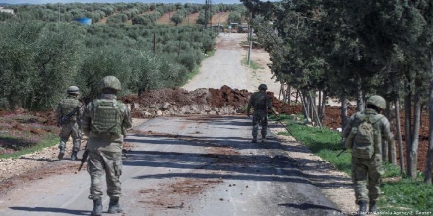 Efrîn – Çekdarên ser bi Tirkiyê dest danîn ser 60 zeviyên zeytûnan