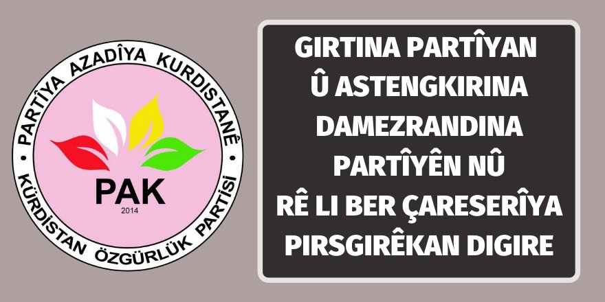 PAK: "Girtina partîyan û astengkirina damezrandina partîyên nû rê li ber çareserîya pirsgirêkan digire