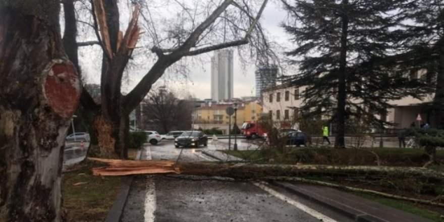 Brûsk li hewşa parlamena Tirkiyê ket