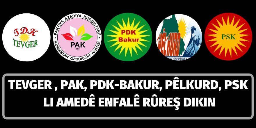 TEVGER , PAK, PDK-BAKUR, PÊLKURD, PSK LI AMEDÊ ENFALÊ RÛREŞ DIKIN