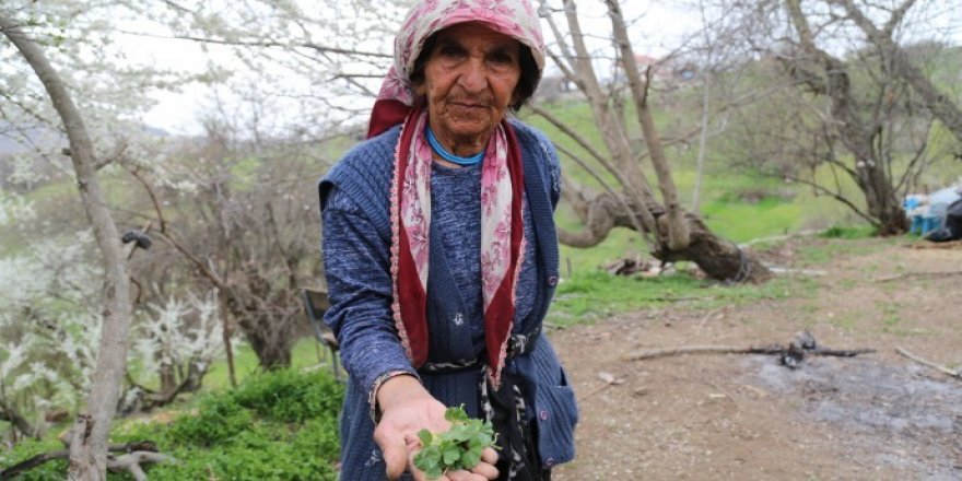 Bi nebatan nexweşan derman dike