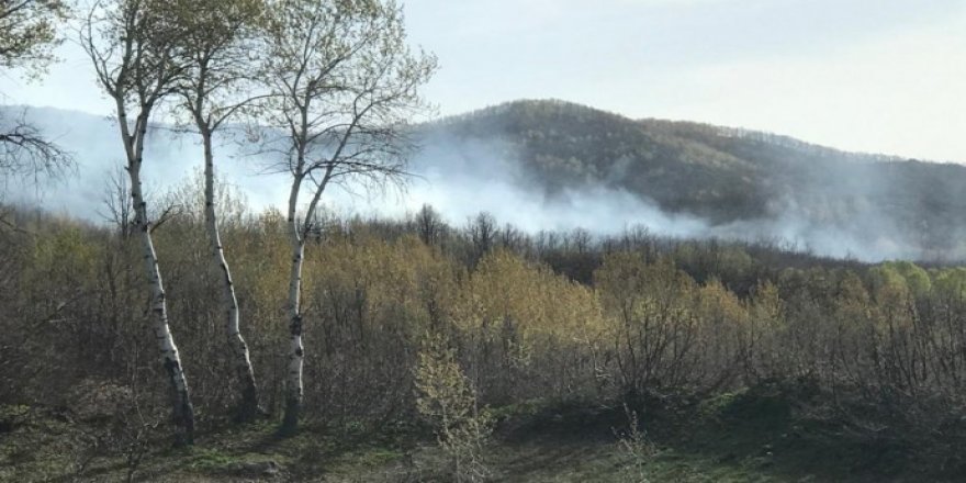 Li Dêrsimê piştî operasyonê şewat derket