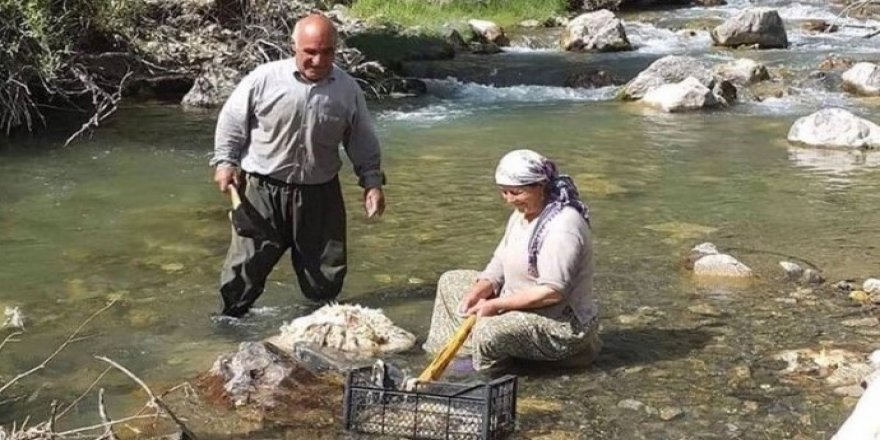 500 rojin ji Hurmuz Dîrîl agahî nayê girtin