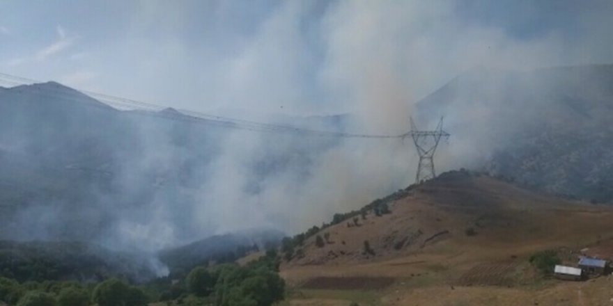 Daristanê Licê çar rojîyo ke vêşeno