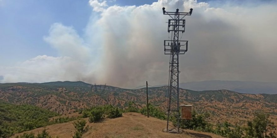 Baroyê Çewlîgî: Pê şewatan şaristan yeno vengkerdiş