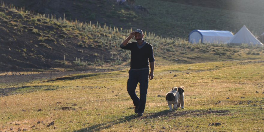 Koçerê Dêrsimî: Mesrafê ma zaf o, ma nêeşkenê debara xo bikerê