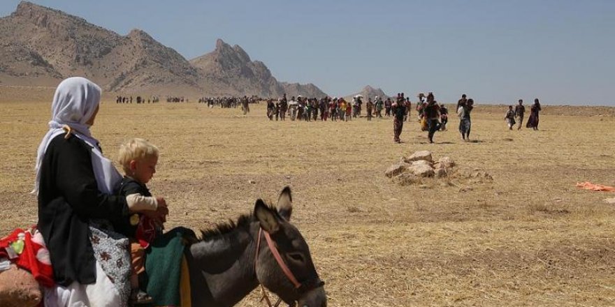 Parlementoyê Hollanda jenosîdê Şingalî şinasna