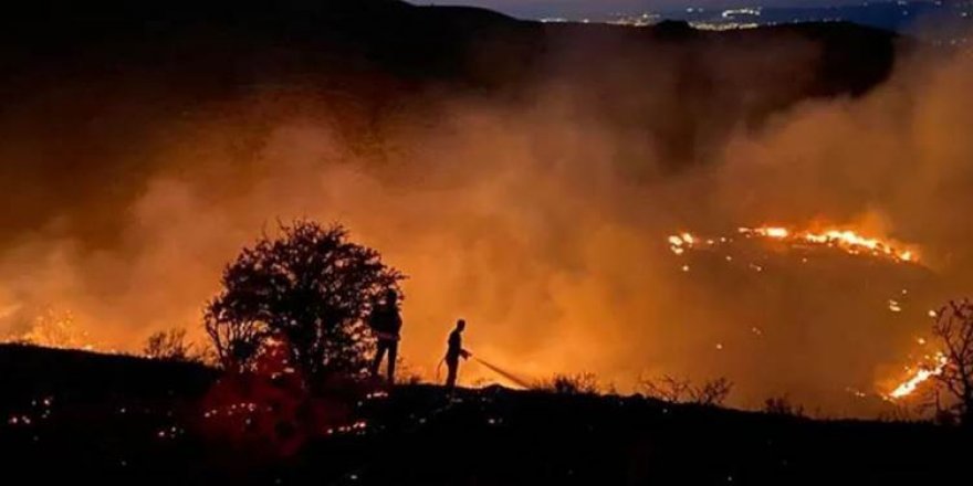 Xarpêt | Çiyayê Mastarê ji doh ve dişewite: 150 donim erd şewitî