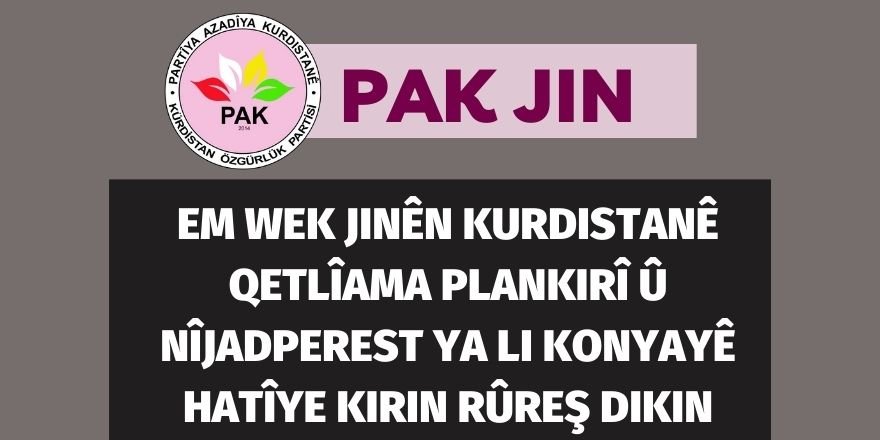PAK-JIN: Em wek jinên Kurdistanê qetlîama plankirî û nîjadperest ya li Konyayê hatîye kirin rûreş dikin