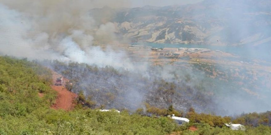 Li Dêrsimê çûna nav daristanan hat qedexekirin