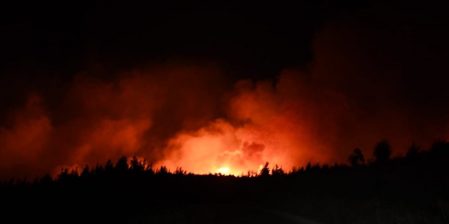 14 roj in daristanên Dêrsimê dişewitin