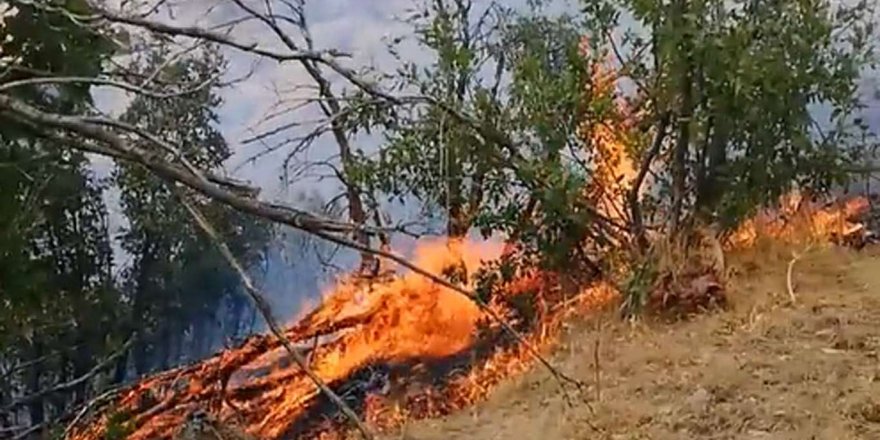 ÎHDyî semedê hewnakerdişê şewatê Şemzînanî veng da