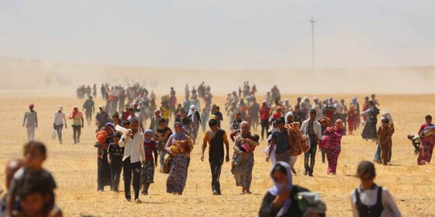 Neteweyên Yekbûyî pisporekî Alman ji bo lêkolîna tawanên DAIŞê erkdar kir