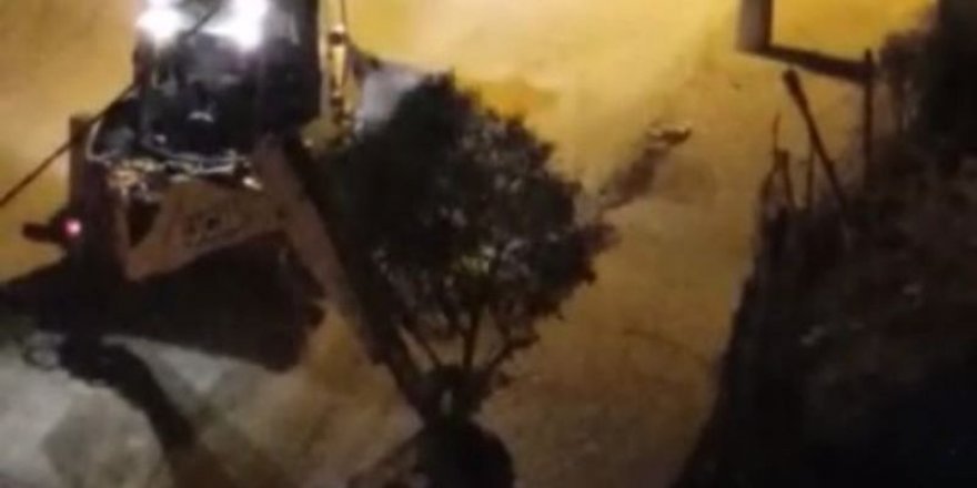 Şaredarîya Qoserî şewe bi seyan darî birnay