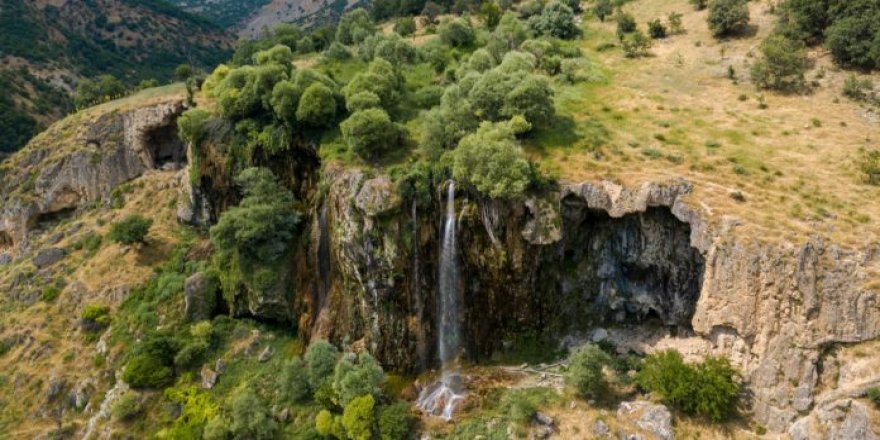 Çewlîg de qasê  35 hektar darî do bêrê birnayîş