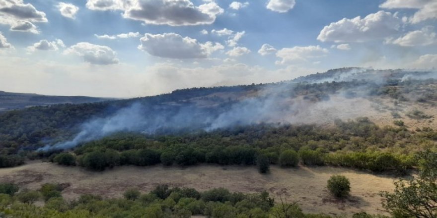 Li Licê şewat derket û ber bi gundan ve belav dibe