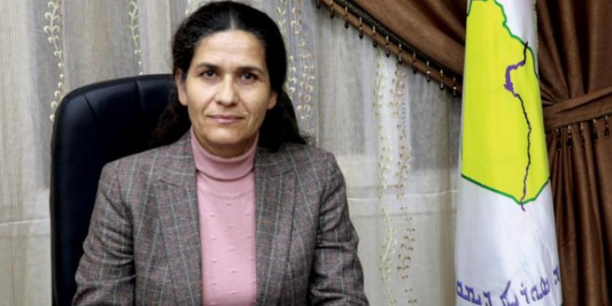 Heyetêkê Îdareyê Xoserî selahîyetdaranê Rûsya de ame têlewe