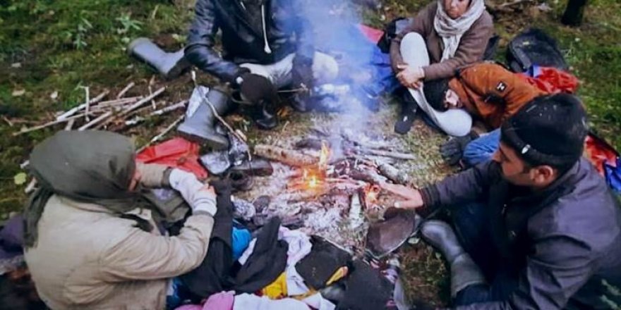 Hejmareke koçberên Êzidî li ser sînorê Polonyayê li ber mirinê ne