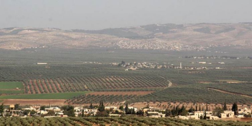 Çekdarên Siqûr el-Şemal 120 darên zeytûnan li Efrînê birîne