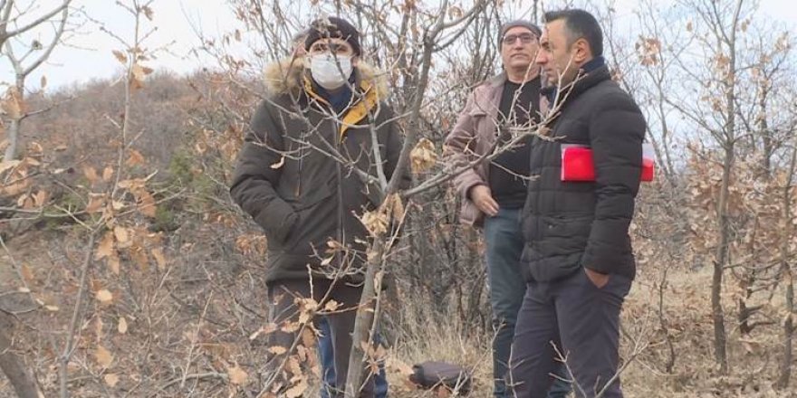 Li Dêrsîmê biryara birîna 54 hezar daran hat dayîn