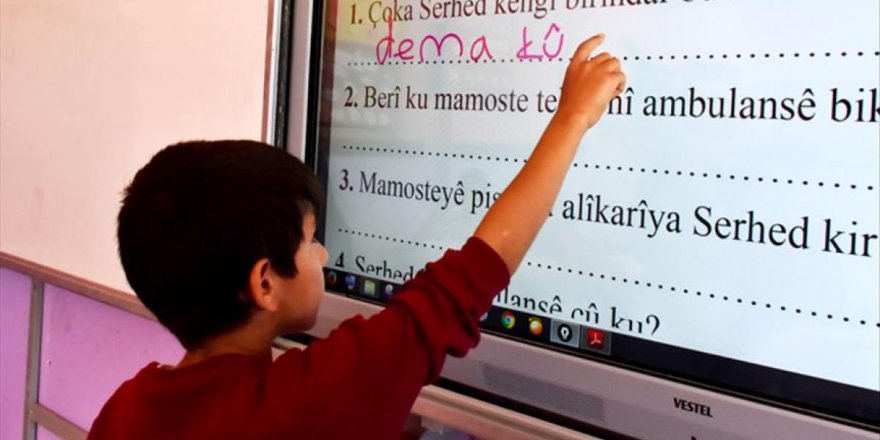 Girîngiya perwerdehiya bi zimanê dayikê û dersên bijarte - Amed Tîgrîs *