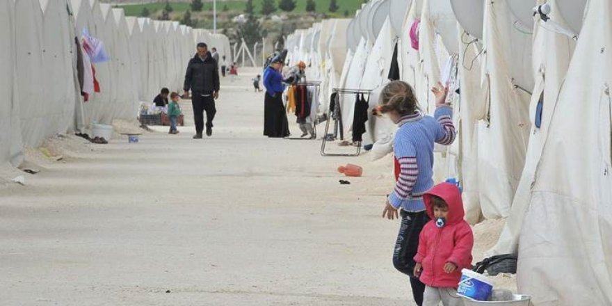 Soylu: 193 hezar û 293 koçberên Sûrî welatînameya Tirkiyê wergirtine